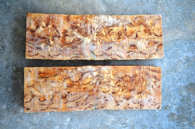 Curly Birch Scales