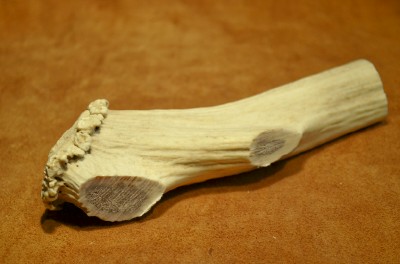 Elk Crown Handle