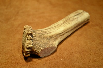 Elk Crown Handle